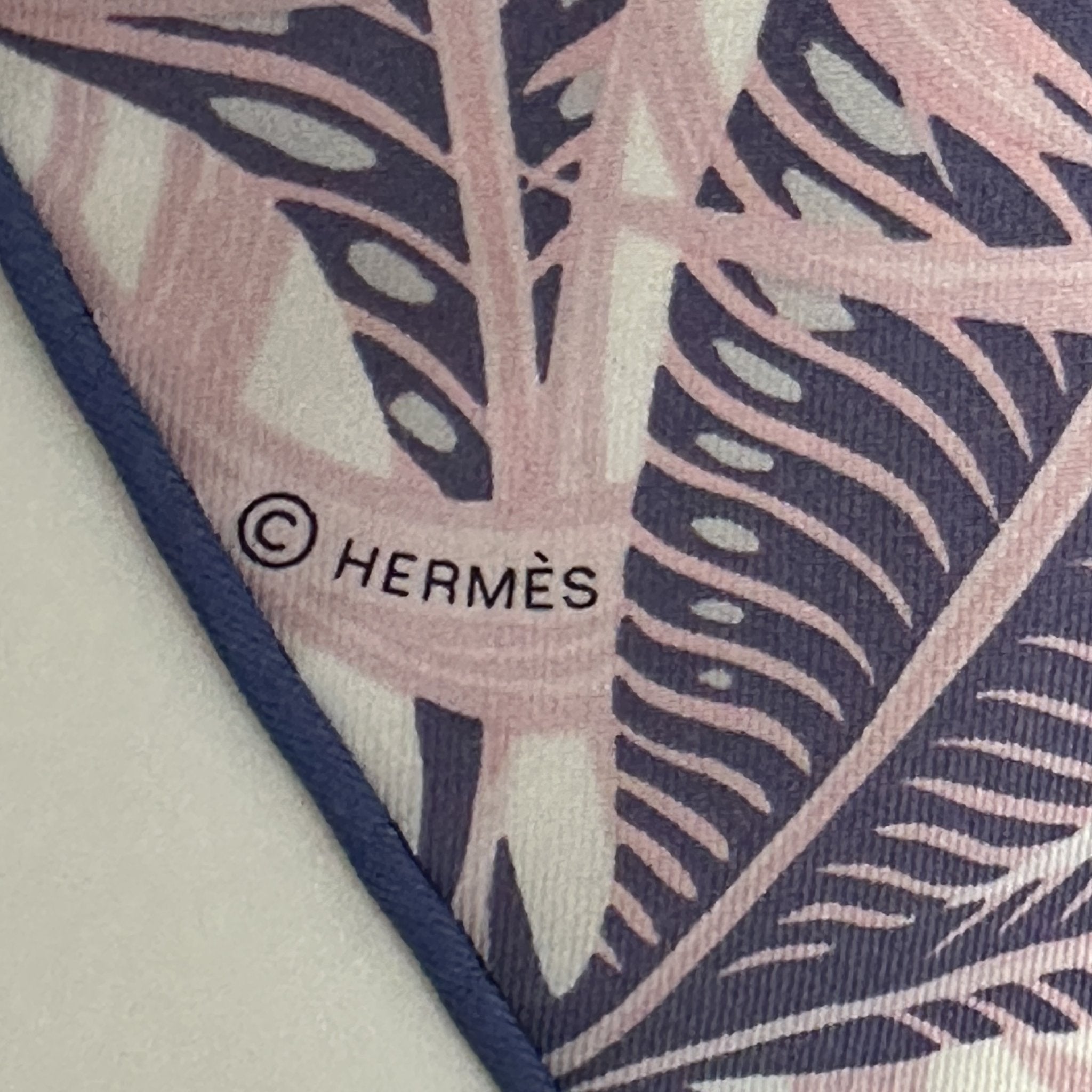 copyright hermes coin du foulard