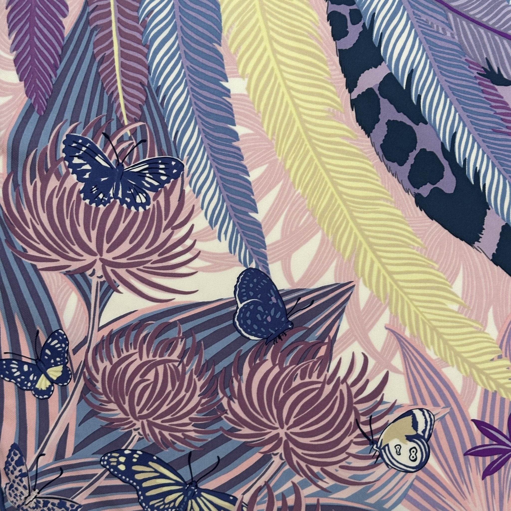 detail du dessin de zoe pauwels papillons